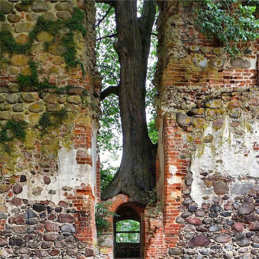 Natura îti reintra în drepturi