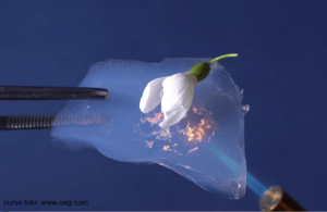 aerogel